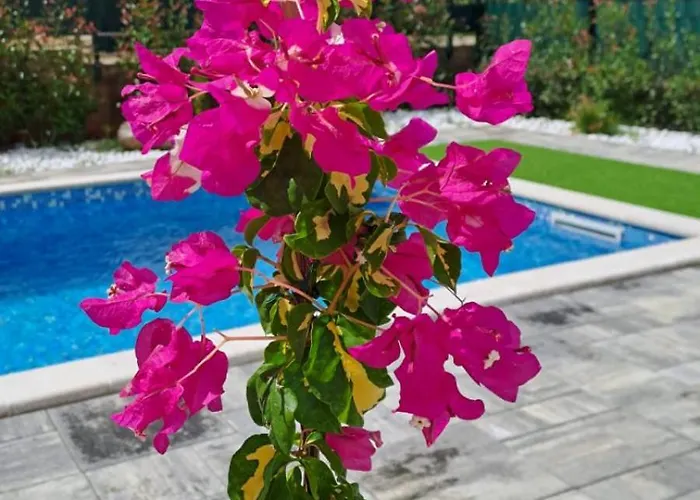 Lejlighed Apartman, Milovcici *